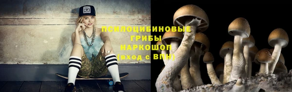 СК Вязьма