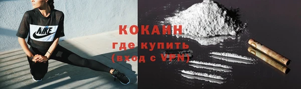 СК Вязьма