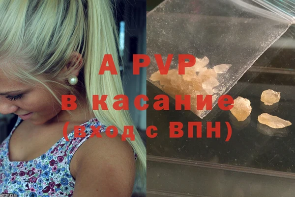 СК Вязьма