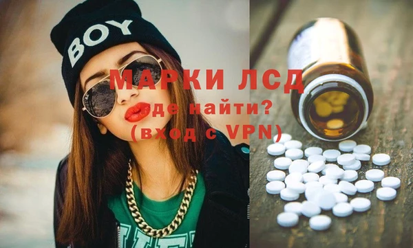 СК Вязьма